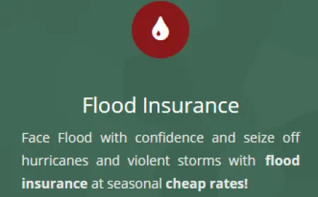 Naples Florida Flood Insurance & Home Insurance Naples FL: Protecting Your Property the Smart Way