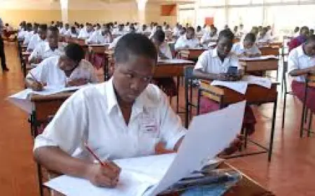 “How I Managed to Excel in My National Exams” – Sarah Shares Her Experience