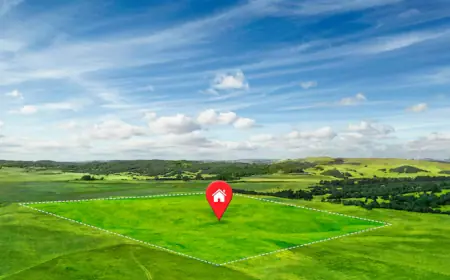 Exclusive Prestige Autumn Leaves – Plots for Families