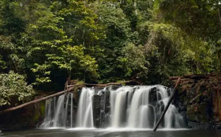 لماذا يجب أن تزور شلالات الكاميرون الشهيرة