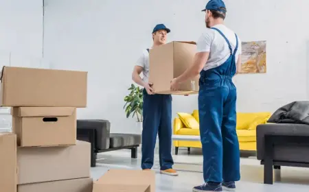 Reasons First-Time Renters Need Denver Apartment Moving Services