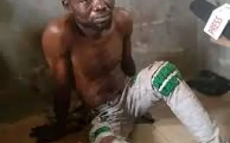 I Sent Bees After a Lady Who Cheated Me on Facebook Out of Ksh 5000