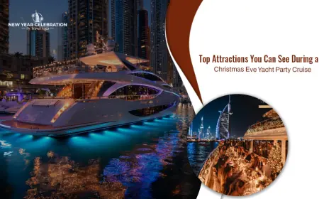 Top Attractions You Can See During A Christmas Eve Yacht Party Cruise