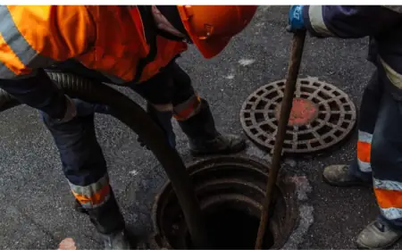 Why Choose Professional Cesspool Service in Suffolk County?