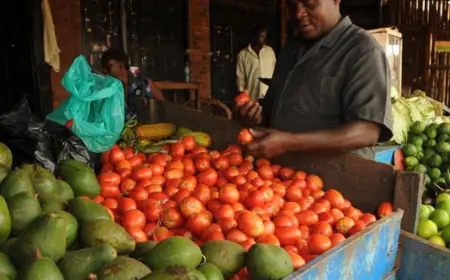 “From Tomato Seller To City Business Tycoon” James From Uganda Shares His Journey