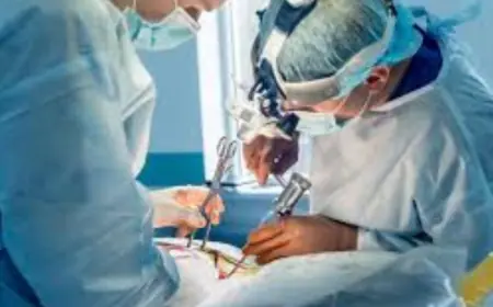 Spine Tumor Treatment in India: Advanced Care and Recovery Options