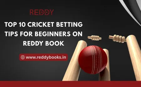 Top 10 Cricket Betting Tips for Beginners on Reddy Book
