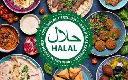 Introduction to Halal Doner Kabab