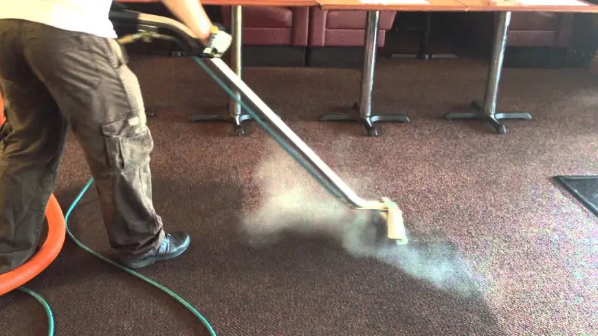 What Counts as an Emergency Carpet Cleaning Situation in Carlsbad