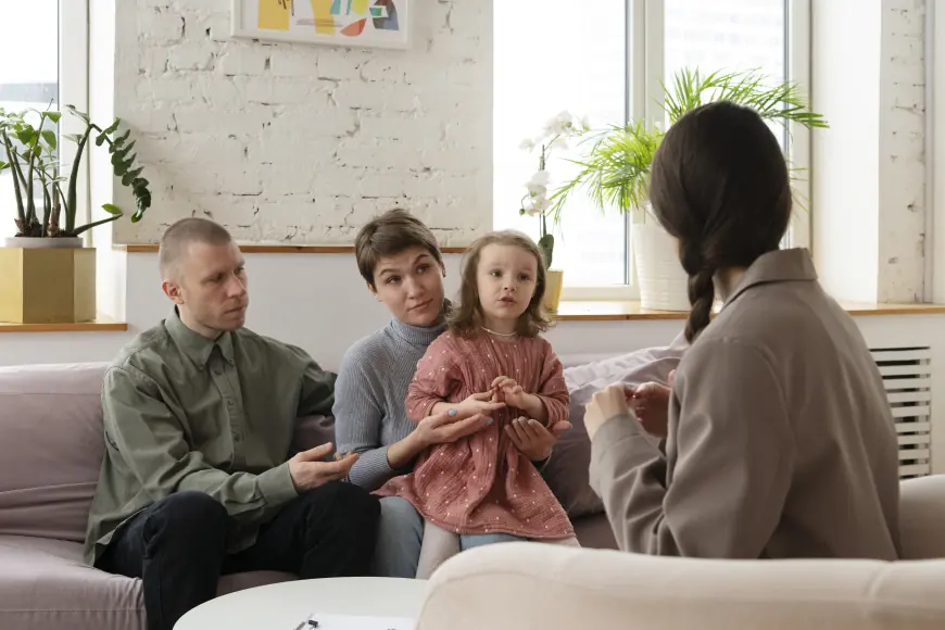 Recommended Family Lawyers in Sydney Mobilize Resources for Domestic Violence Victims