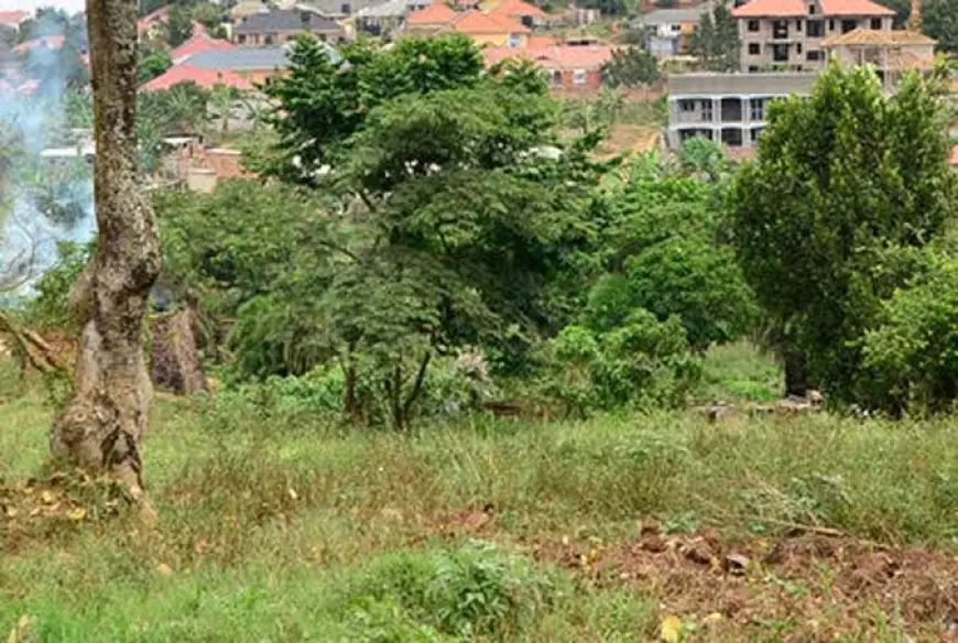 How I Fought for My Inherited Land and Finally Won Against All Odds