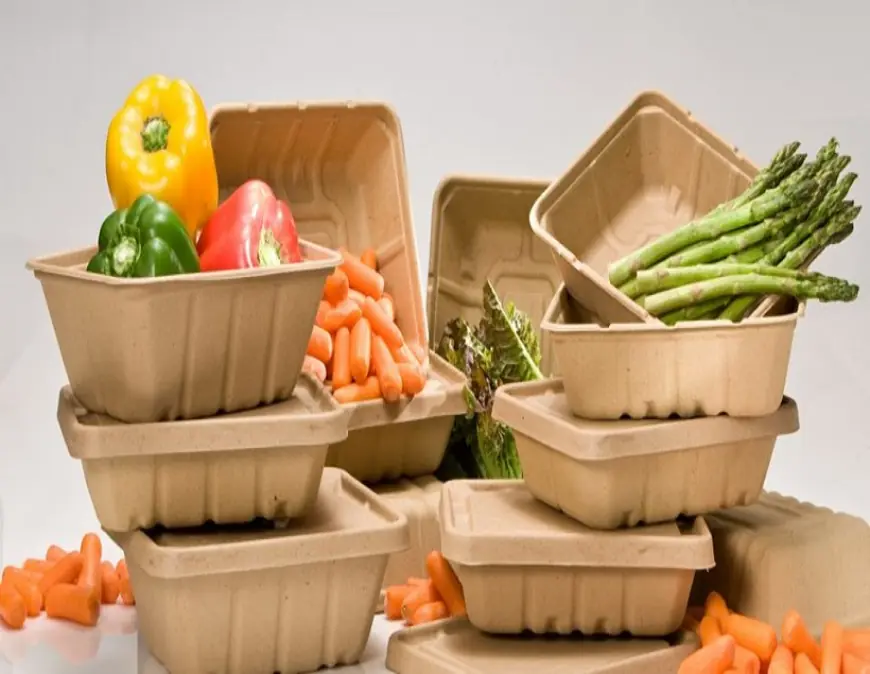Green Alternatives in Plastics: Global Industry Insights