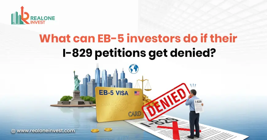 What Can EB-5 Investors Do if Their I-829 Petitions Get Denied?
