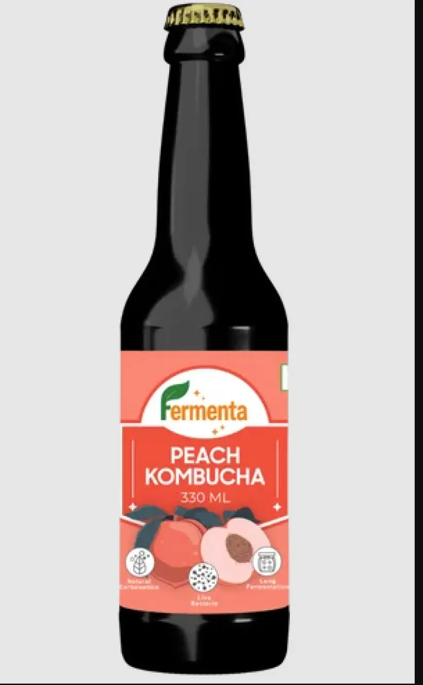 Best Kombucha Brand in India 2025 – Why Fermenta Is the Name You Can Trust