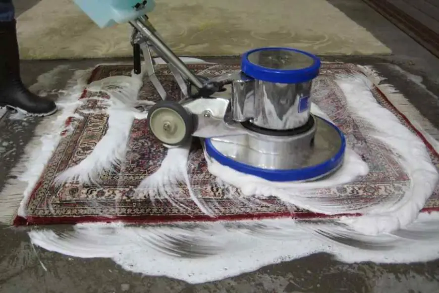 The Benefits of Regular Carpet Cleaning for a Healthier Home