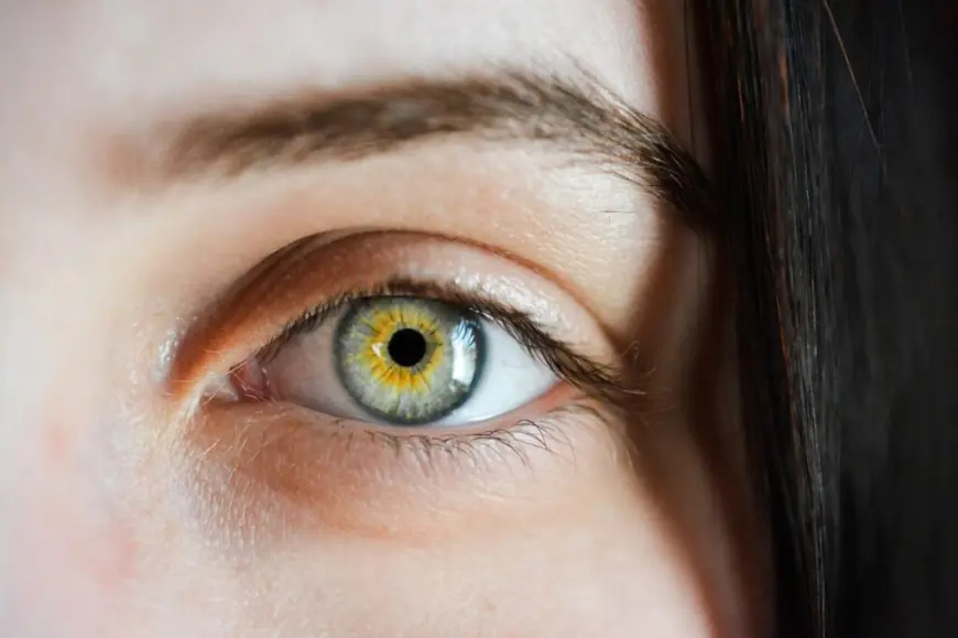 Change Your Look with Eyebrow Hair Transplant Advice