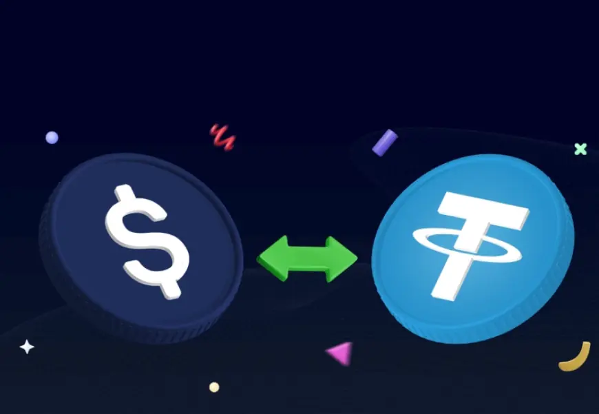 Holding vs Trading: Which Crypto Strategy Works Best