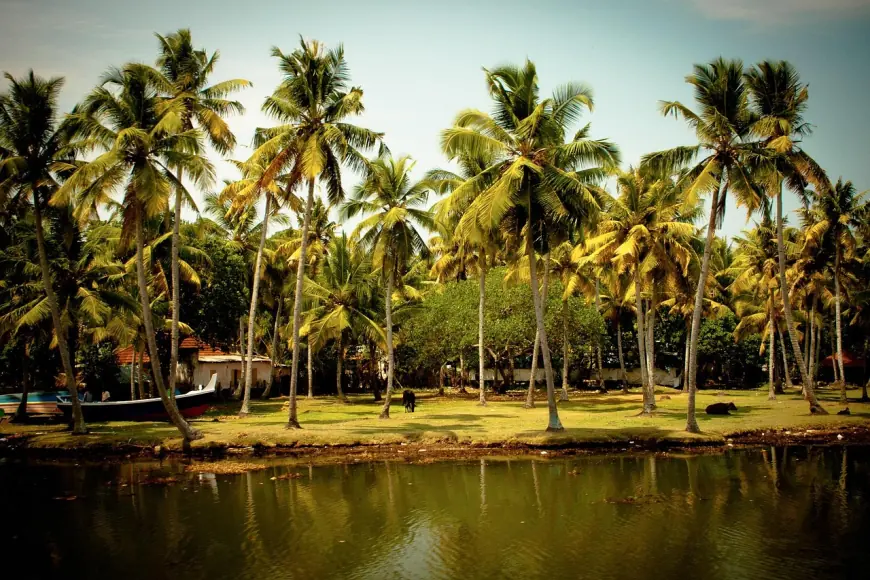 Top Kerala India Tours for Scenic Beauty & Cultural Delights