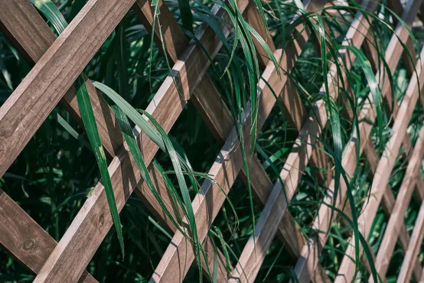 Affordable Solutions from a Trusted Fencing Company in Pensacola FL