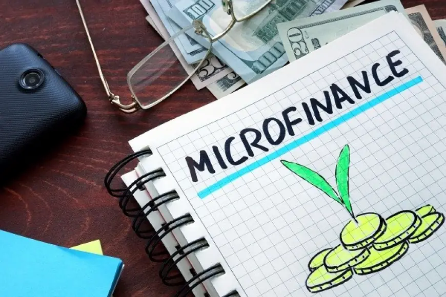 India Microfinance Market 2031: Top Players & Forecast