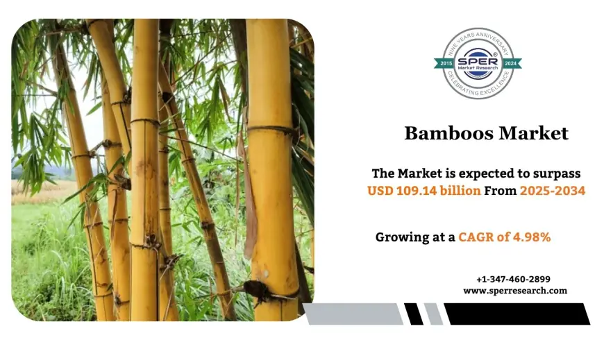 Bamboos Market Forecast, Key Players and Outlook