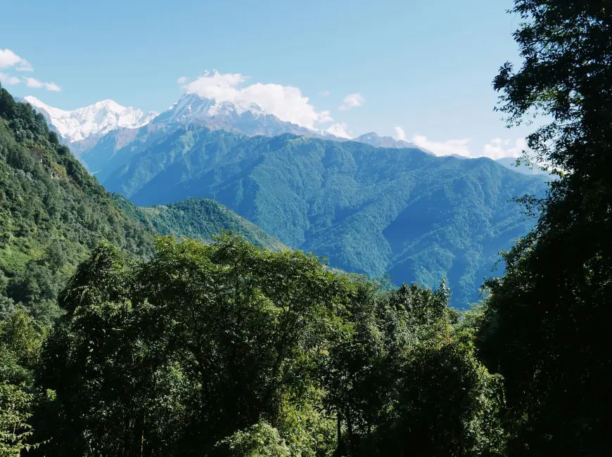 Feeling Stuck? The View from Poonhill Might Be the Reset You Need