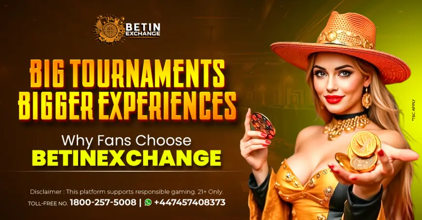 Choose Betinexch for Organized Online Access