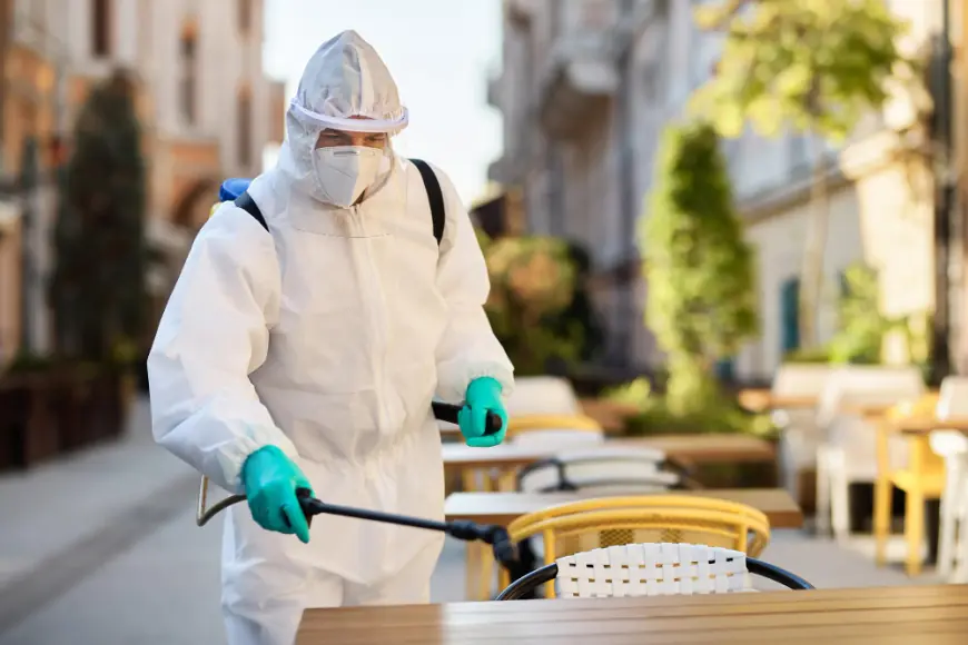 Heat vs. Bed Bugs: The Safe, Powerful Way to Take Back Your Home