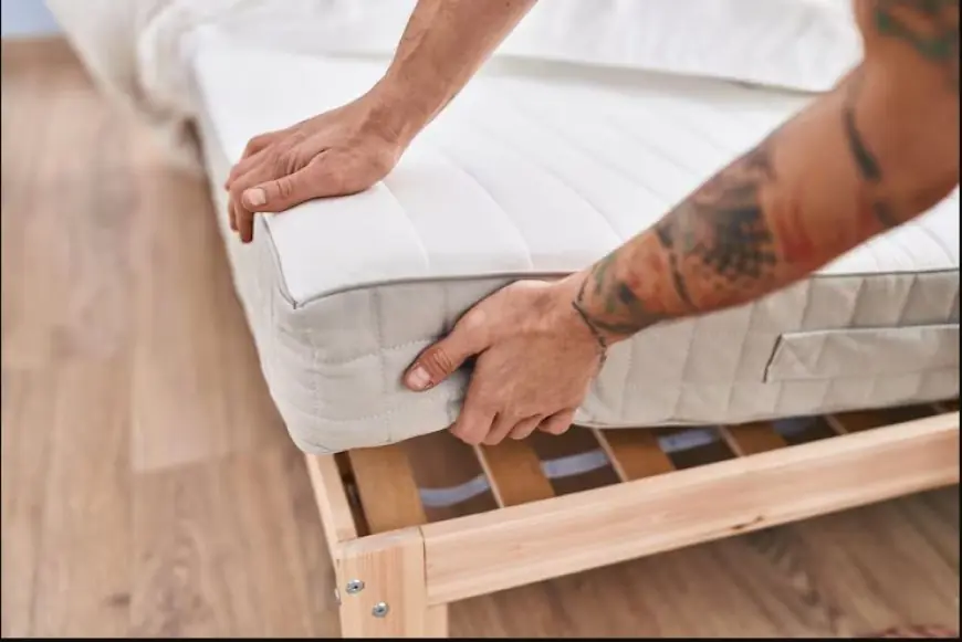 United States Mattress Market Growth Factors & Investment Trends 2025–2033