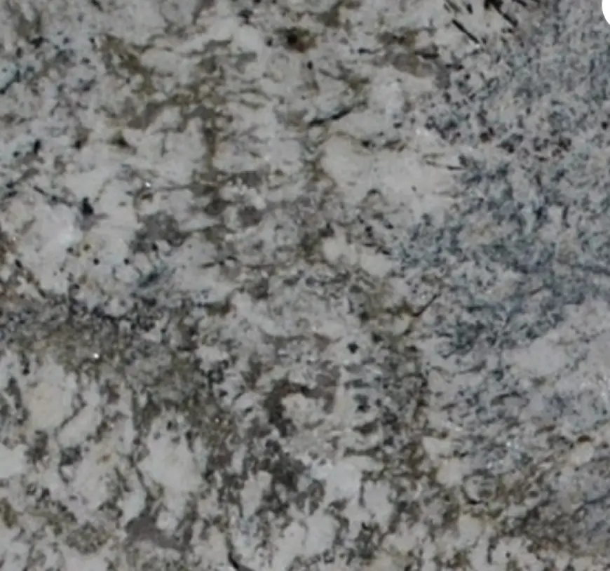 Alaska White Granite: The Perfect Blend of Cool Tones and Natural Beauty