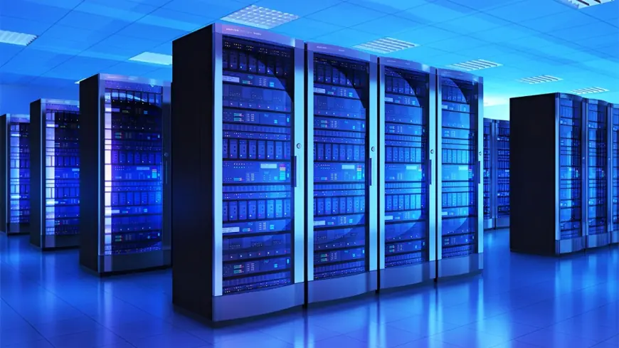 What Does a Custom Software Development Company in Canada Do?