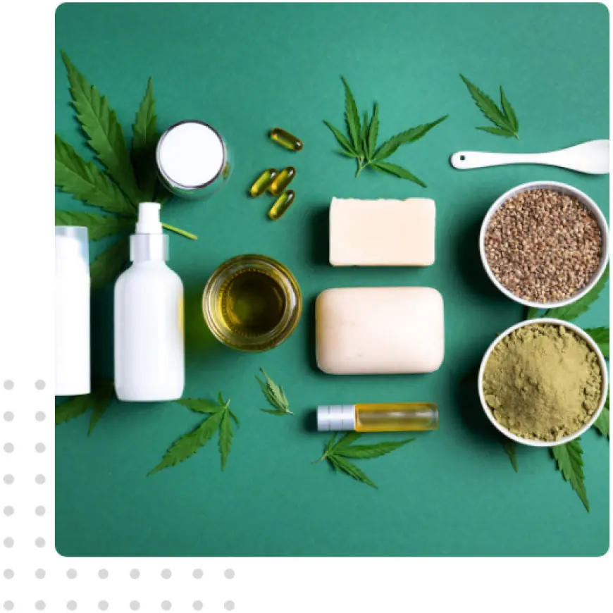 Trusted Ayurvedic Classical Medicine Manufacturer in India – Wilson Drugs