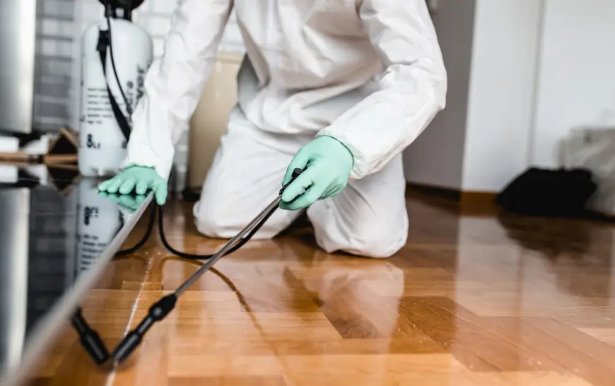 Emergency Pest Control Explained: What It Means and When You Should Call for Help
