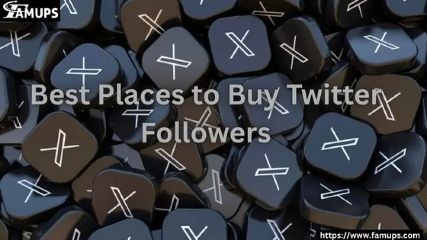 5 Best Places to Buy Twitter Followers for Fast Engagement Growth