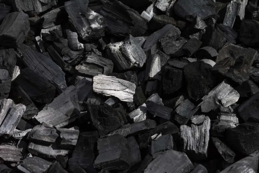 Indonesia Coal Market Report 2025-2033, Industry Growth Opportunity, and Forecast