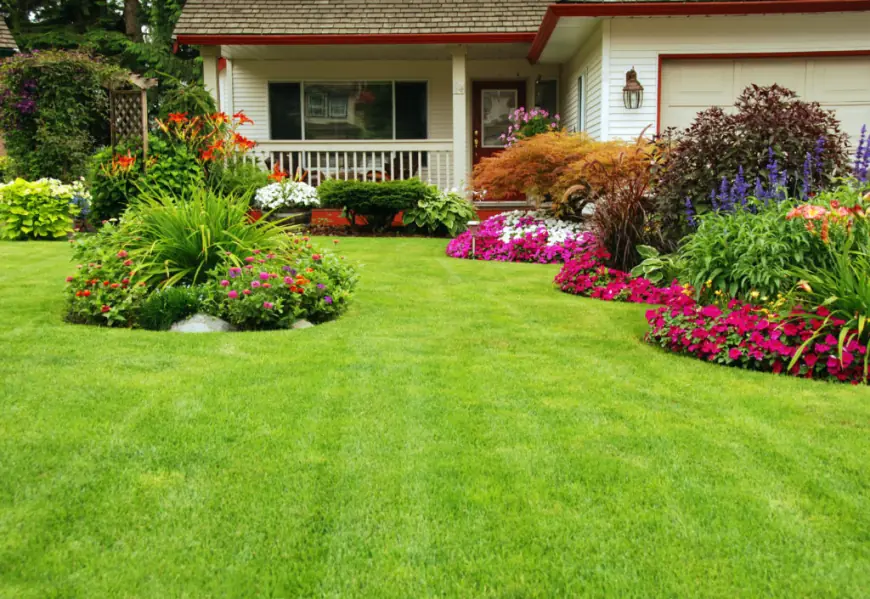 5 Hidden Benefits of Lawn in Care Cape Cod You Haven’t Considered
