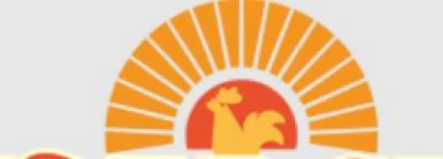 Roosters Woking: A Flavorful Fusion of Tradition and Taste