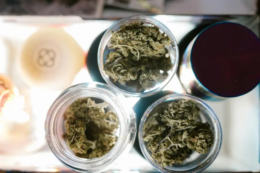 Granny Za’s Guide to Shopping at a Dispensary in DC