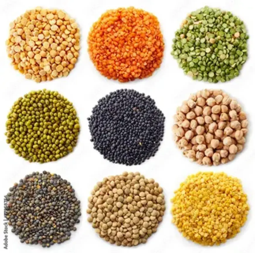 Top 20 Companies in The Global Canned Legumes Market 2025: Statistics Report 2035