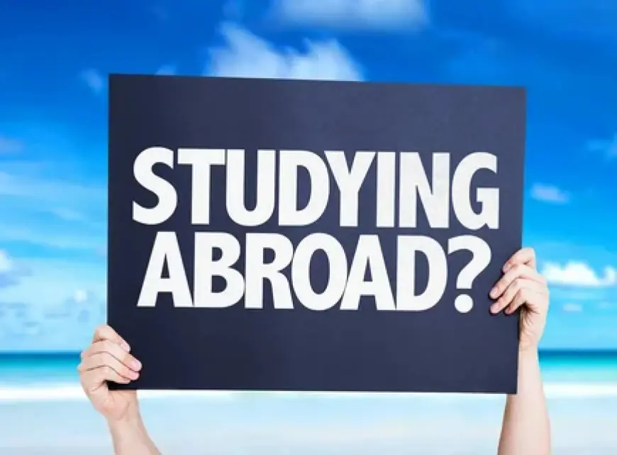 Why Abbottabad Students Choose Study Consultant in Abbottabad