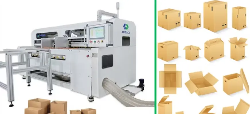 Custom Packaging Equipment – Tailored Machinery for Precision Packaging