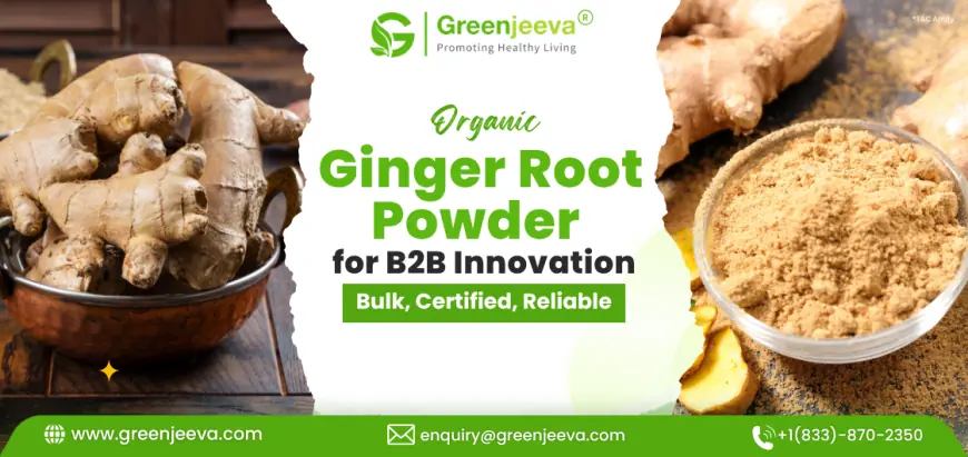 Sourcing Organic Ginger Root Powder in Bulk: What Canadian Buyers Should Know
