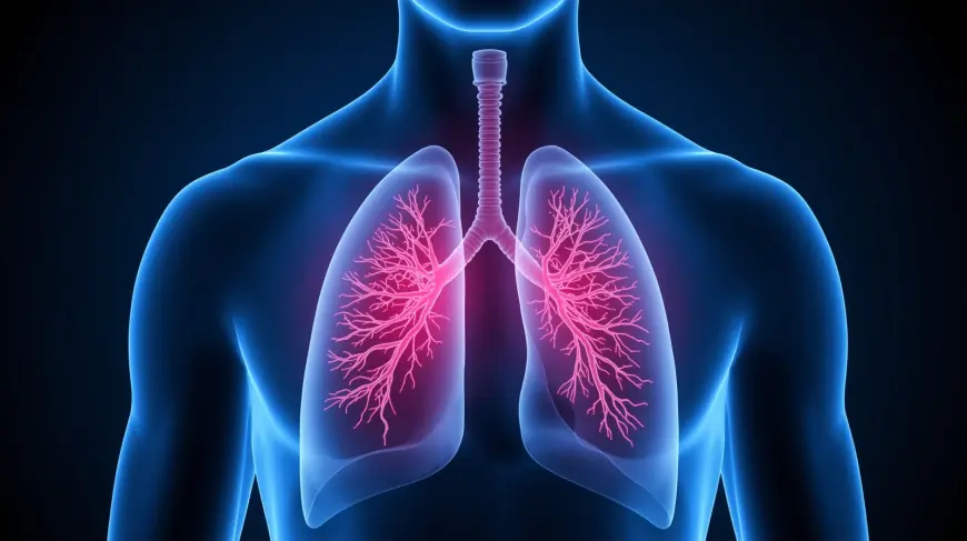 Pulmonologist Dubai UAE: Your First Step Toward Better Lung Health