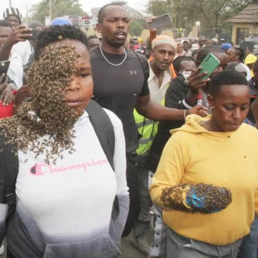 Swarm of Angry Bees Attacks Notorious Mobile Money Thieves in Kampala – Shocking Details Emerge