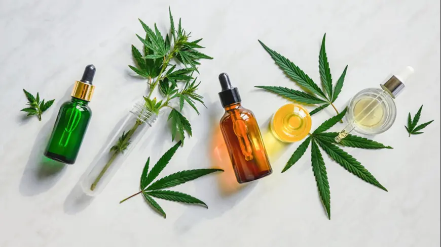 Looking to Chill Hard? Visit THC Lounge Texas Dispensary