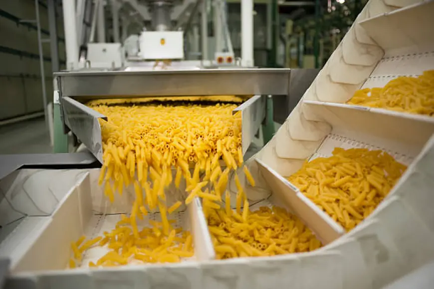 Pasta Manufacturing Plant Setup and Cost Analysis Report