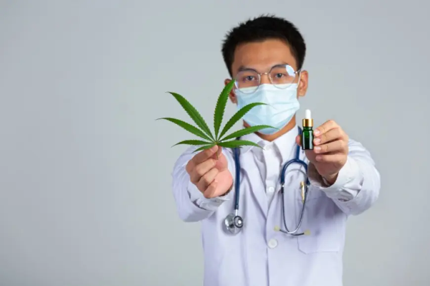 From Myths to Facts: A Deep Dive into Cannabis Education