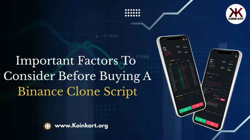 Important Factors to Consider Before Buying a Binance Clone Script