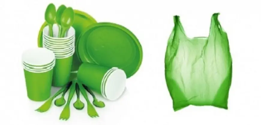 Greener Alternatives: Insights into the Evolving Bioplastics Industry