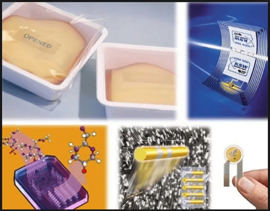 From Barrier to Intelligence: Nanotechnology Packaging Trends
